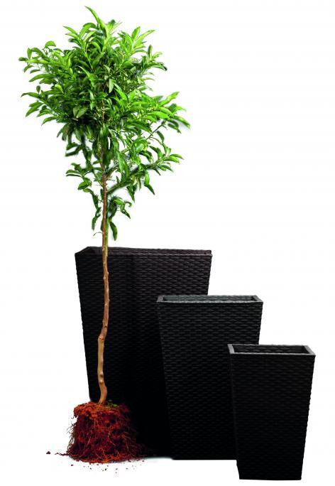 Keter Rattan kaspó S 23,6 l grafit