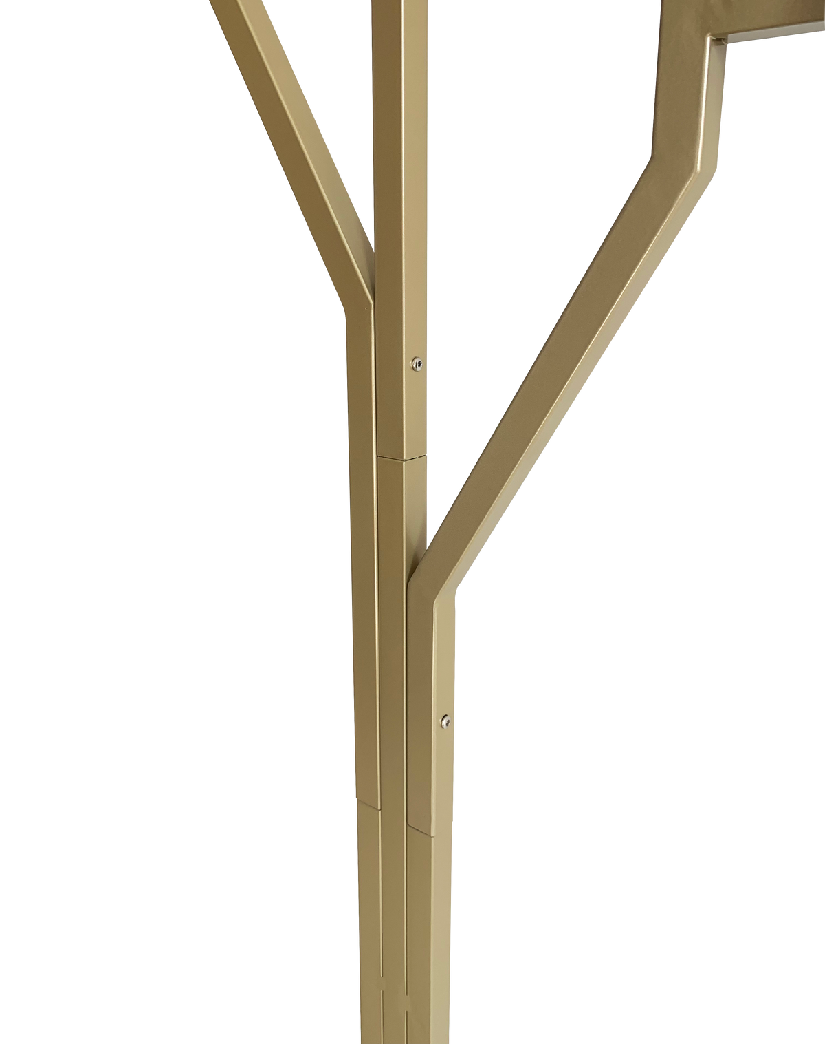 Legno fogas ágelágazása közelről